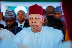 2027 politics must be driven by maturity, tolerance — Shettima