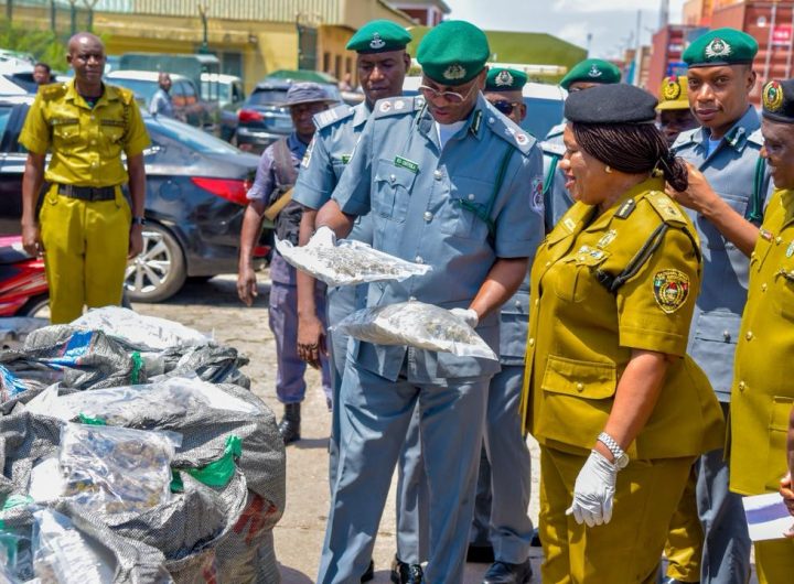 Tican Customs intercepts 4,173.5kg of cannabis valued at ₦16.6 billion