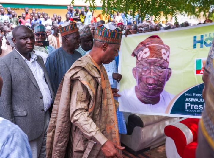 Tinubu sweeps Borno APC Presidential primaries as massive turnout rocks 312 wards