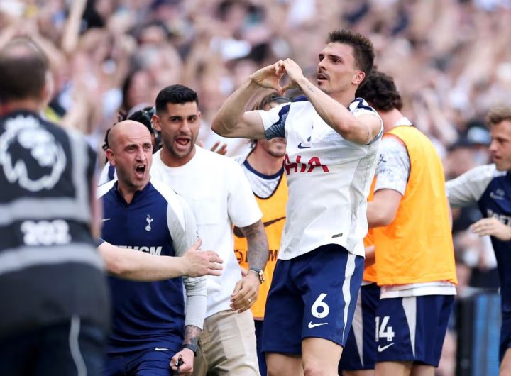 EPL: Tottenham escape relegation after defeating Everton 1-0