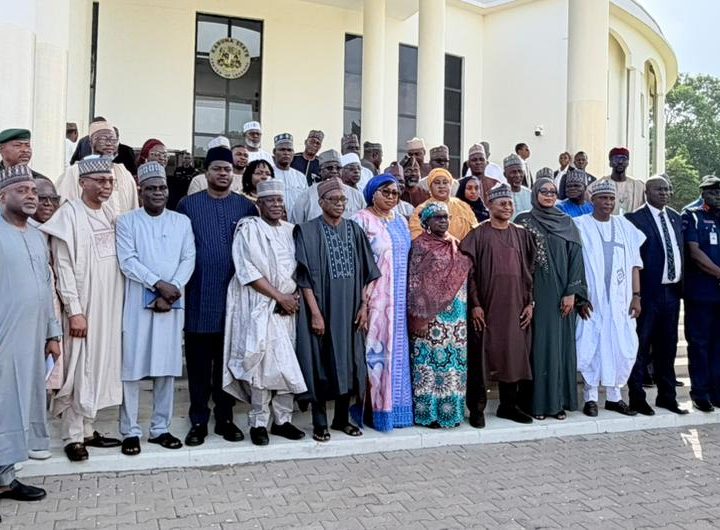 Uba Sani launches DDR committee to crush insecurity, restore peace in Kaduna
