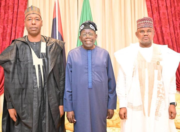 Zulum presents Borno APC governorship candidate Gubio to Tinubu