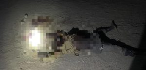 troops kill terrorists in North East