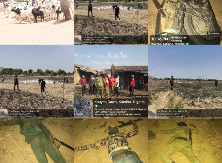 Troops eliminate terrorists, recover 175 livestock and bust drug ring in Katsina
