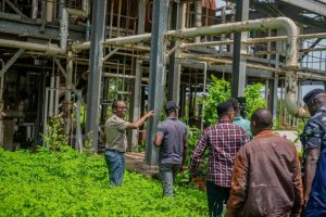 Benue moves to revive N70bn Taraku Mills after years of abandoning, create Jobs