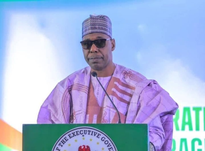 Borno State Governor Babagana Zulum.