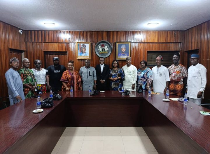 Kaduna International Film Festival, National Gallery Art seek partnership to boost creative sector