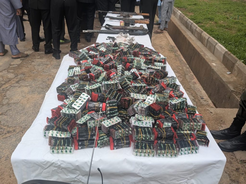 Kaduna police arrest 29 suspects for kidnapping, murder and drug trafficking