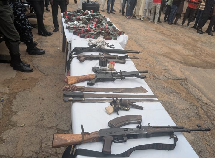 Kaduna police arrest 29 suspects for kidnapping, murder and drug trafficking