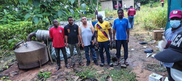 NDLEA uncovers industrial-scale meth lab in Oyo forest