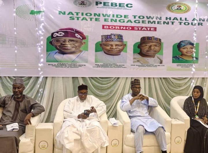 PEBEC Tour: Borno seeks fresh investments, unveils reforms to boost ease of doing business