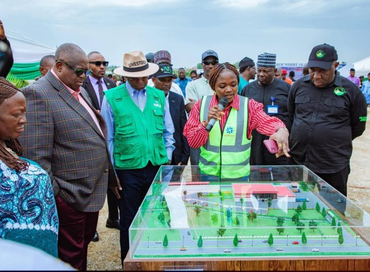 Plateau launches 500-cattle-per-day mega abattoir to become Nigeria’s livestock processing hub