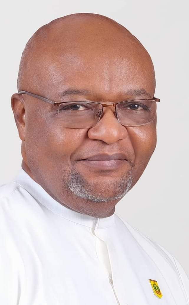 Prof Ikechukwu