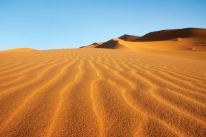 49 persons reportedly died of thirst in Sahara desert