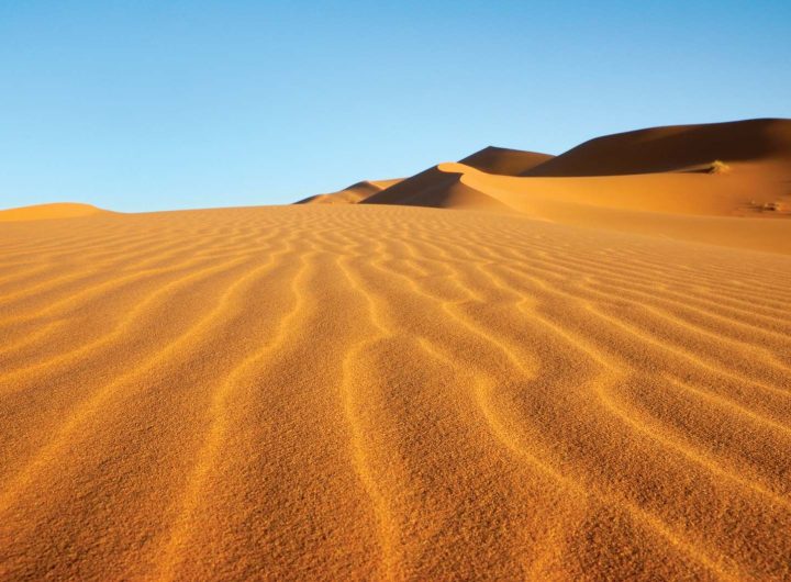 49 persons reportedly died of thirst in Sahara desert