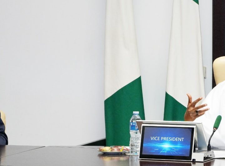 Nigeria, WIPO deepen collaboration to commercialise creativity, research