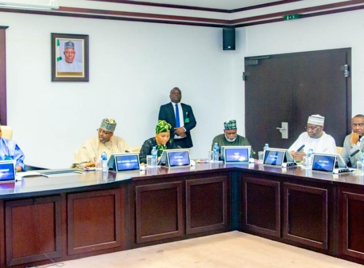 Shettima urges states to unlock full potential of $750m SABER Programme 