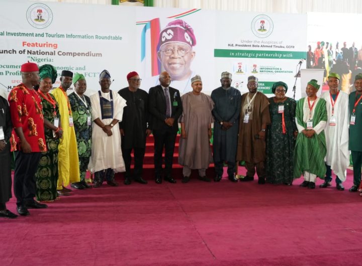 Sub-nationals must drive Nigeria’s investment, tourism growth – Shettima