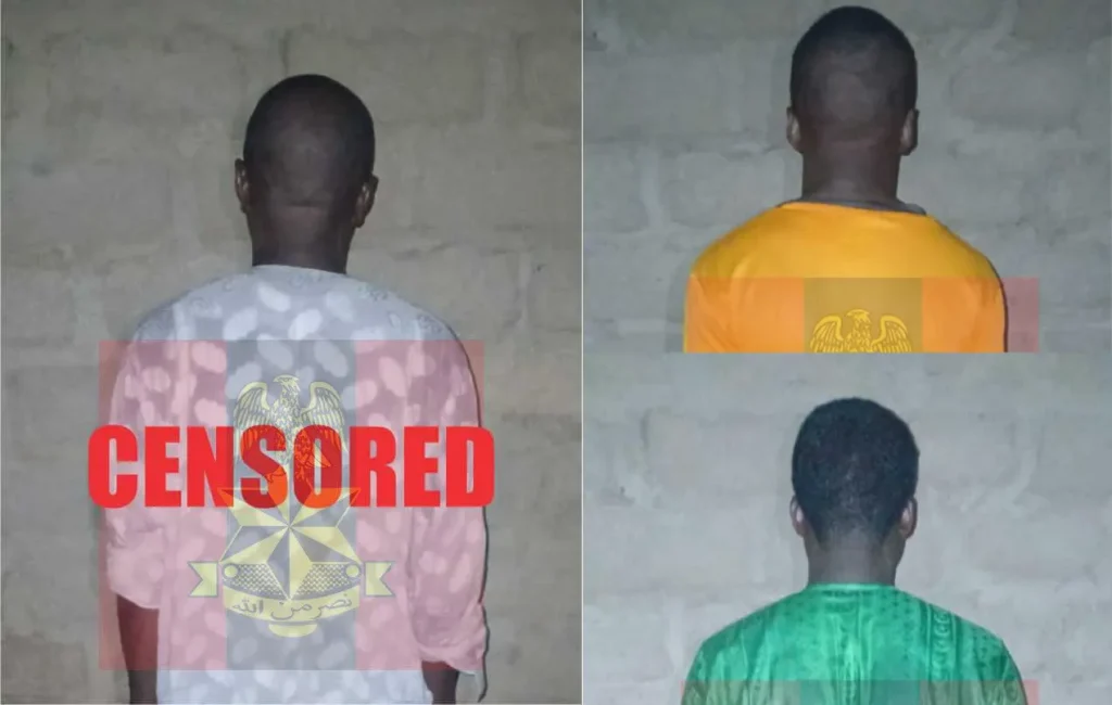 Top ISWAP commanders, 76 terrorists surrender to troops in North-East