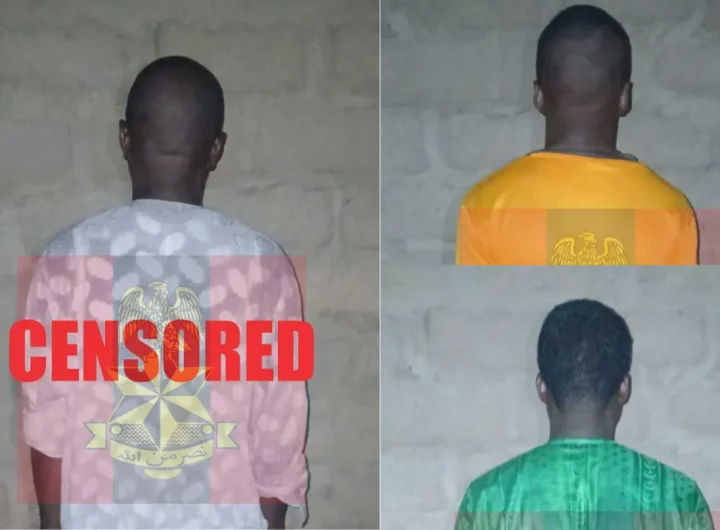 Top ISWAP commanders, 76 terrorists surrender to troops in North-East