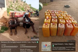 Troops nab 2 Boko Haram logistics suppliers, seize 750 litres of petrol in Yobe