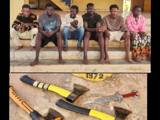Ondo police arrest 6 cultists, recover weapons, charms in Akoko