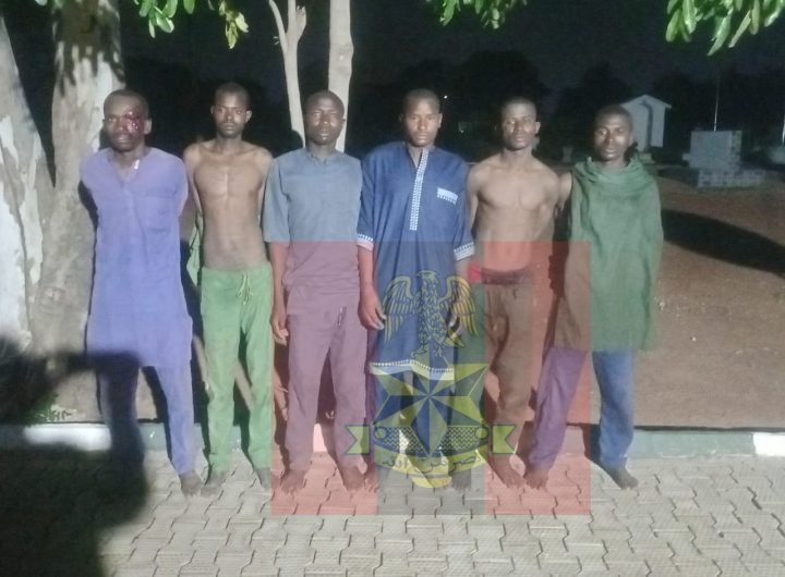 2 terrorists killed as troops rescue kidnap victim, recover 110 rustled cattle in North-West