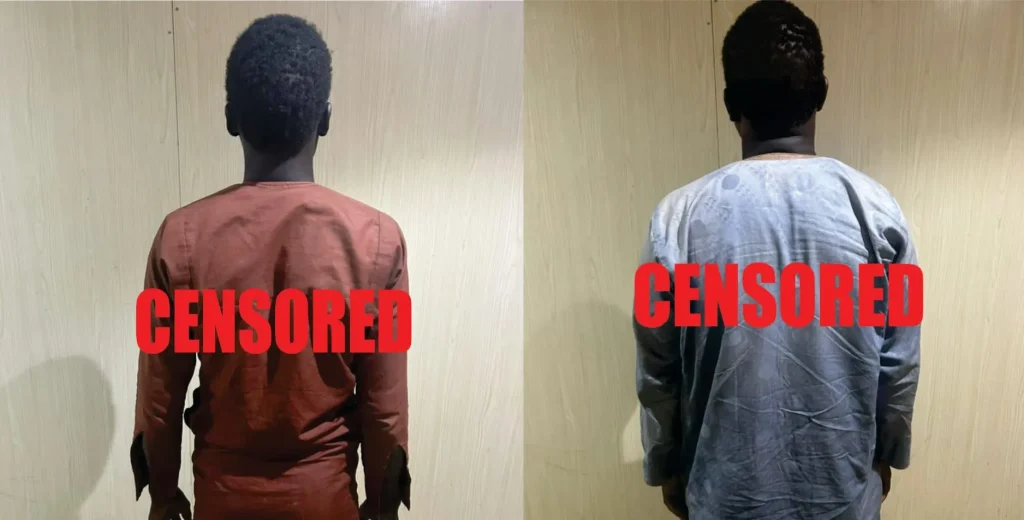 2 senior terrorist commanders surrender to troops in Yobe