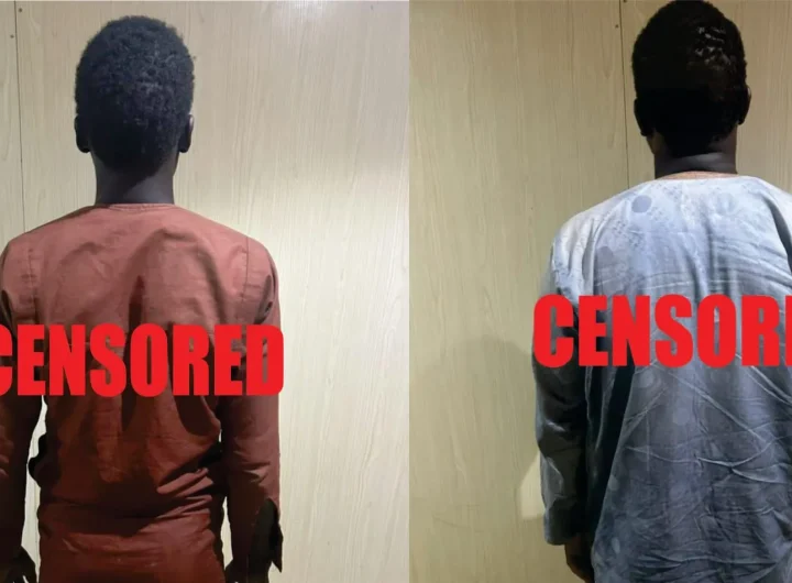 2 senior terrorist commanders surrender to troops in Yobe