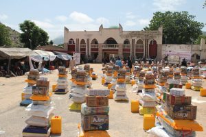 Allamin Foundation, EU, UNDP empower 300 Gwoza residents with livelihood kits to deepen peace, reintegration