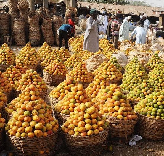 BIPC urges farmers to stop moving oranges out of Benue to boost local processing