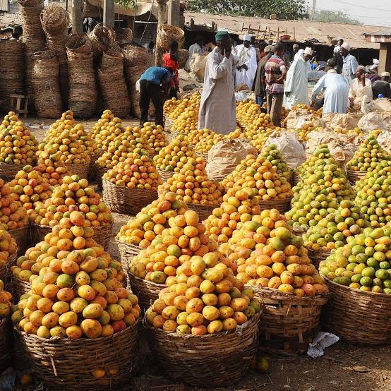 BIPC urges farmers to stop moving oranges out of Benue to boost local processing