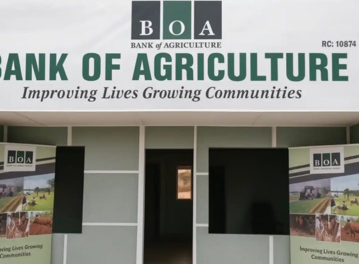 FG inaugurates new Bank of Agriculture board, tasks members on agricultural development