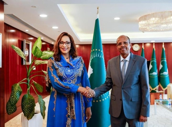 Bianca Ojukwu meets AU Commission chai