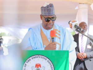 Borno State Governor Zulum