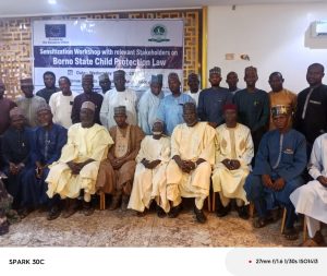 Borno moves to enforce child protection law, rallies stakeholders against abuse, trafficking