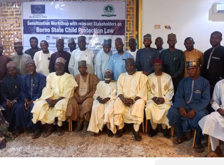 Borno moves to enforce child protection law, rallies stakeholders against abuse, trafficking