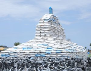 Borno: Zulum unveils 50% off fertiliser sale, free farm implement for 120,000 smallholder farmers