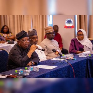 FG restates commitment to improve electricity, says no plans to increase tariff