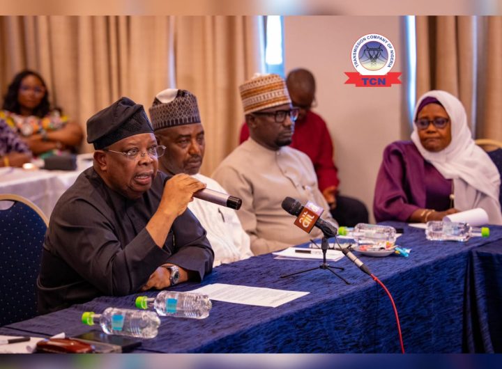 FG restates commitment to improve electricity, says no plans to increase tariff
