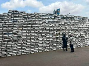 Kaduna Governor distributes fertilizer to farmers