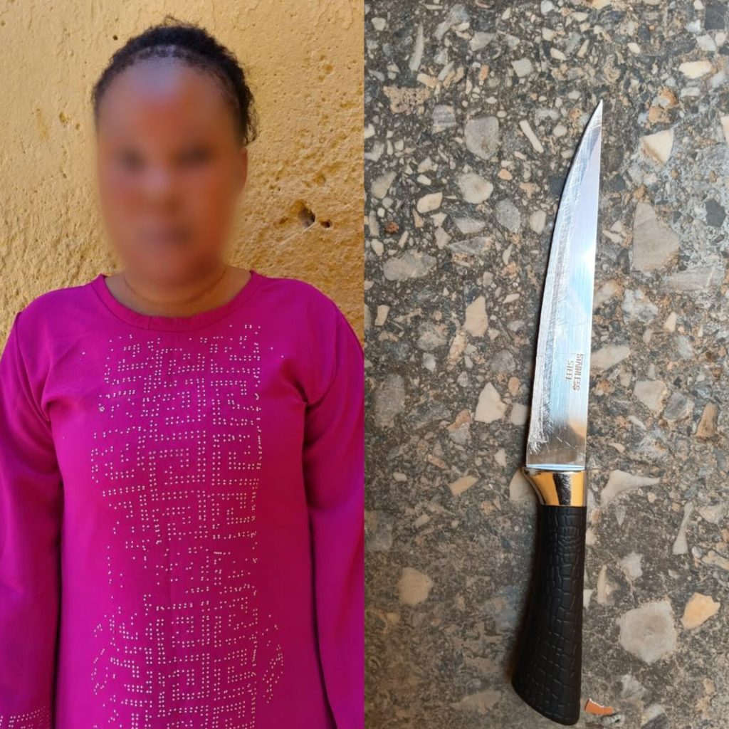 Kano police arrest woman for allegedly cutting off boyfriend’s manhood during fight