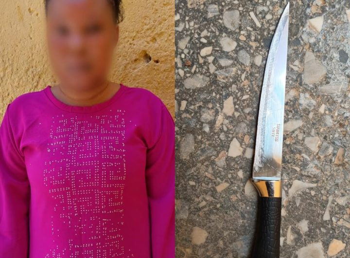 Kano police arrest woman for allegedly cutting off boyfriend’s manhood during fight