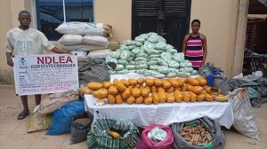NDLEA intercepts Kano-bound tramadol shipments in Lagos, arrests 80-year-old grandpa