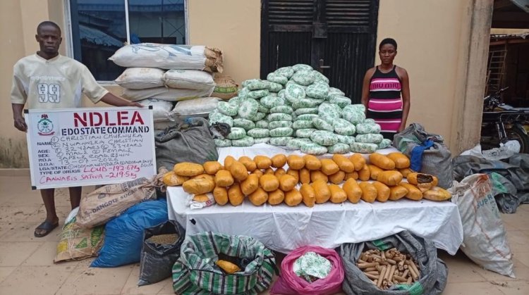 NDLEA intercepts Kano-bound tramadol shipments in Lagos, arrests 80-year-old grandpa 3 NDLEA intercepts Kano-bound tramadol shipments in Lagos, arrests 80-year-old grandpa