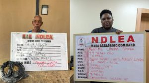 NDLEA intercepts Kano-bound tramadol shipments in Lagos, arrests 80-year-old grandpa