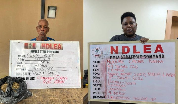 NDLEA intercepts Kano-bound tramadol shipments in Lagos, arrests 80-year-old grandpa