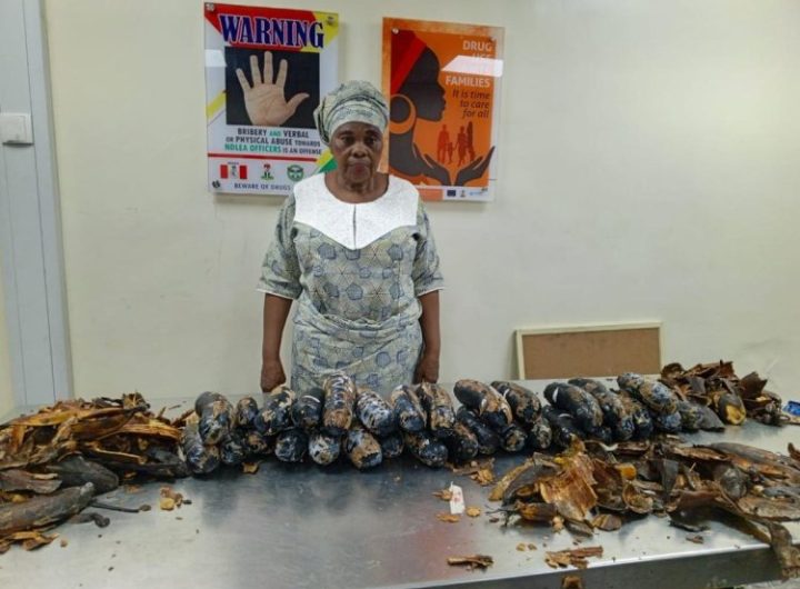 Nigerian-British Grandmother Arrested at Lagos Airport with 13kg Cocaine Hidden in Plantain Peels
