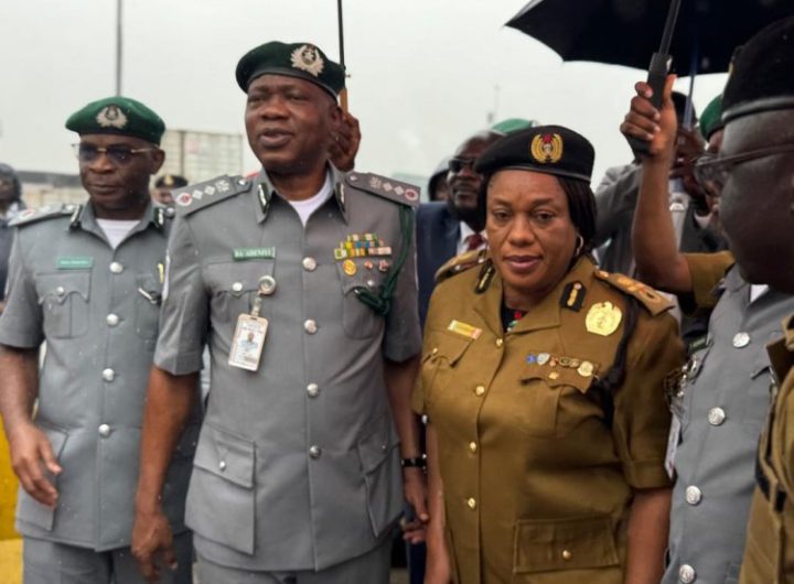 NDLEA takes custody of seized 6778.5 kilograms of Canad