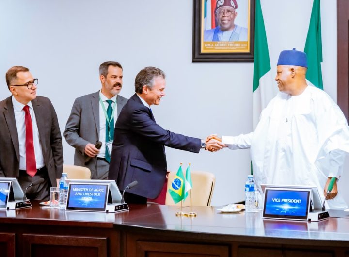 Nigeria, Brazil open new agro-trade market as shettima announces implementation phase